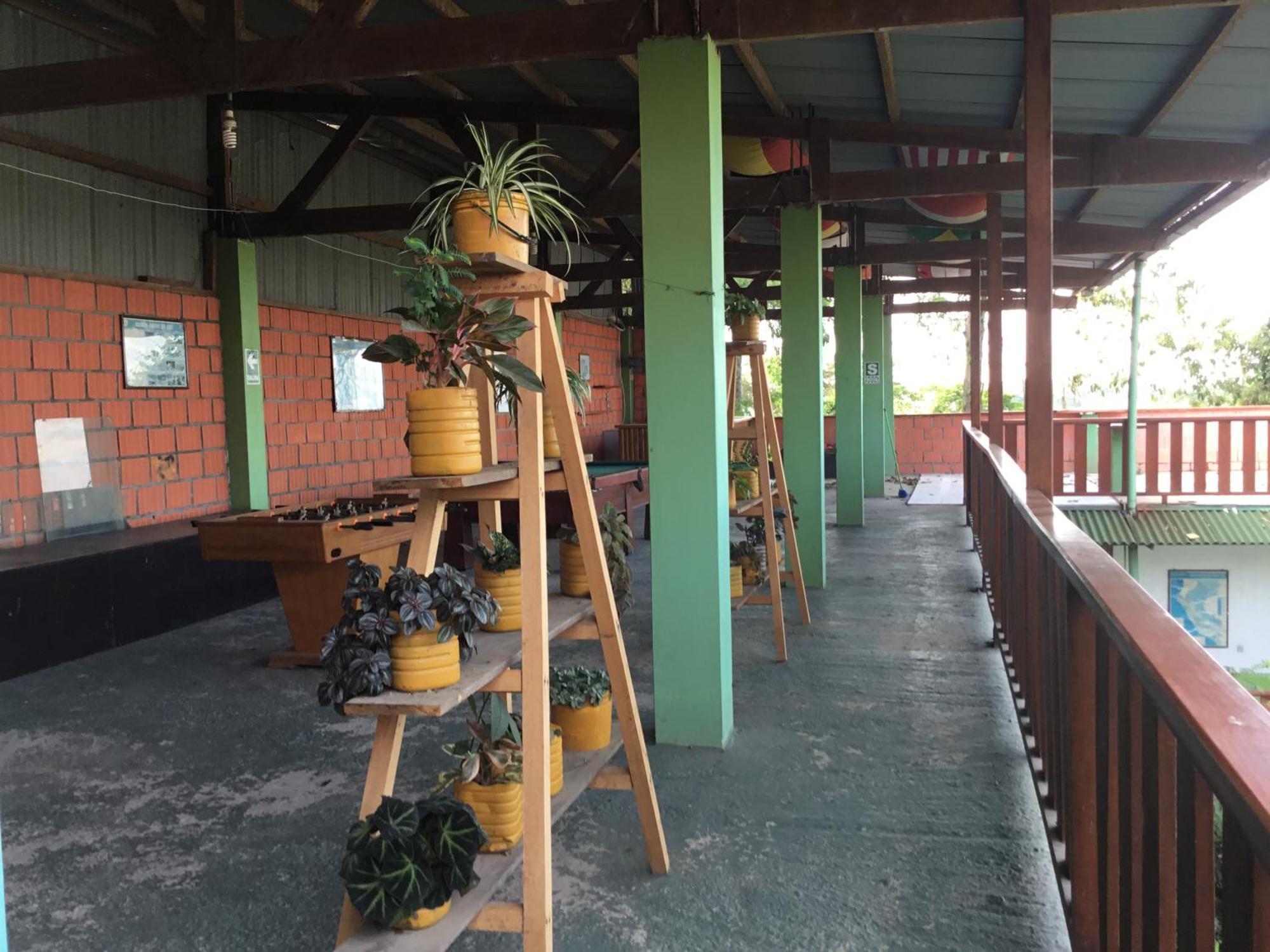 Tambopata Hostel Пуэрто-Мальдонадо Экстерьер фото